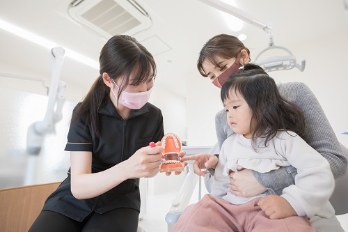 予防管理型で予防歯科を重視